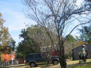 IMG_1823.jpg