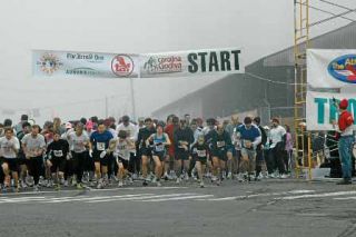 1start02.jpg
