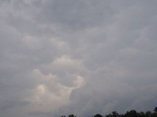 P7110284 (640x480).jpg